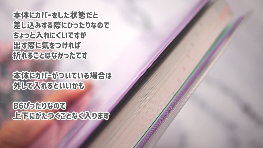 B6サイズ PVC製 Wポケット付き図案ブックカバー