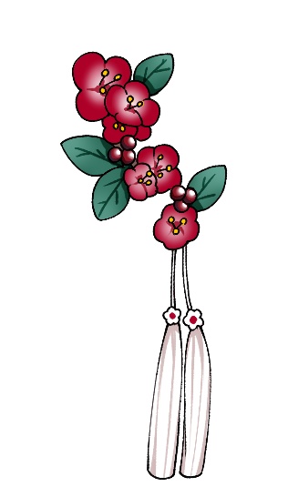 happy new year Hanbok