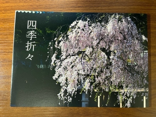 四季折々