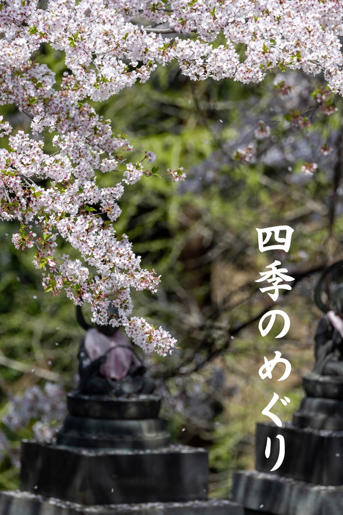 四季のめぐり