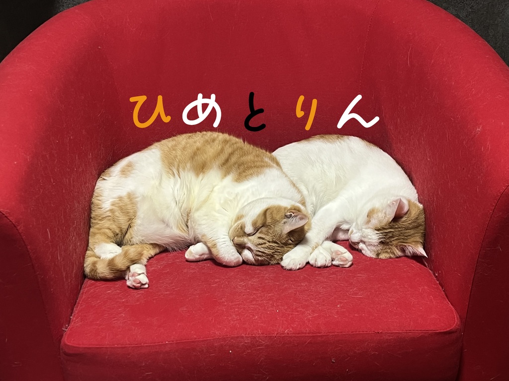 ひめとりん