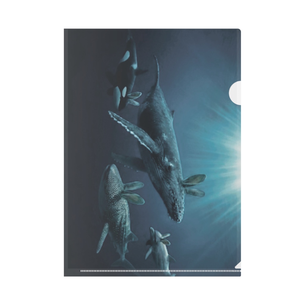 クリアファイル うさ耳海洋生物たち