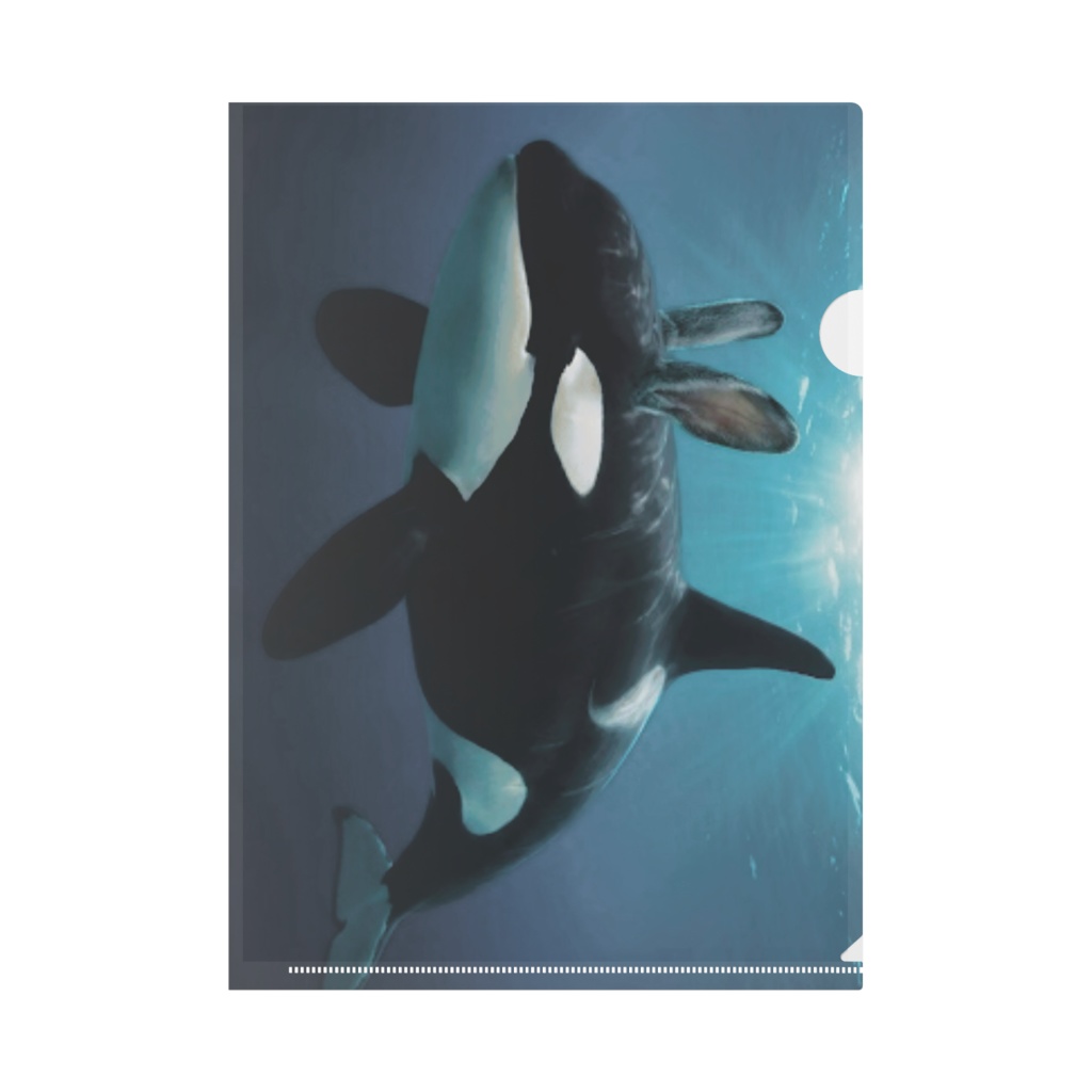 クリアファイル うさシャチ