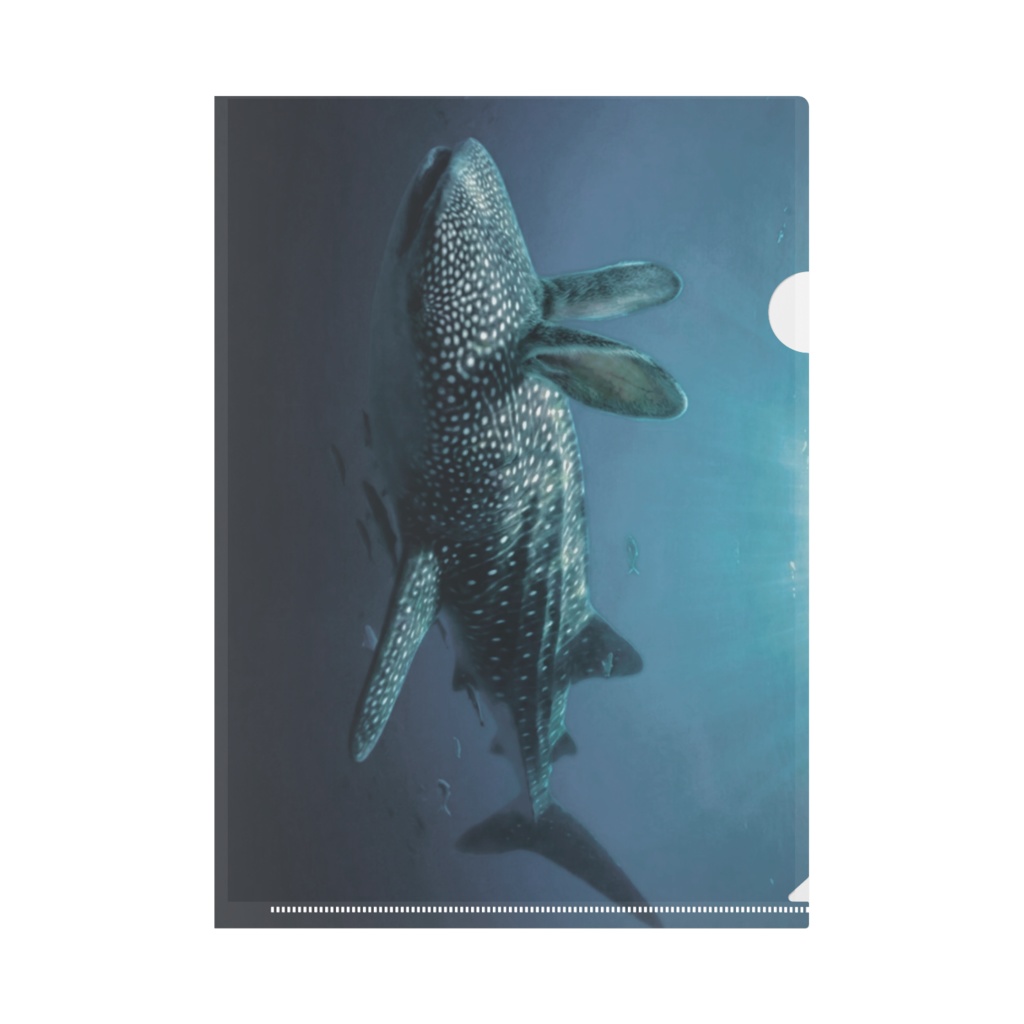 クリアファイル うさジンベイザメ