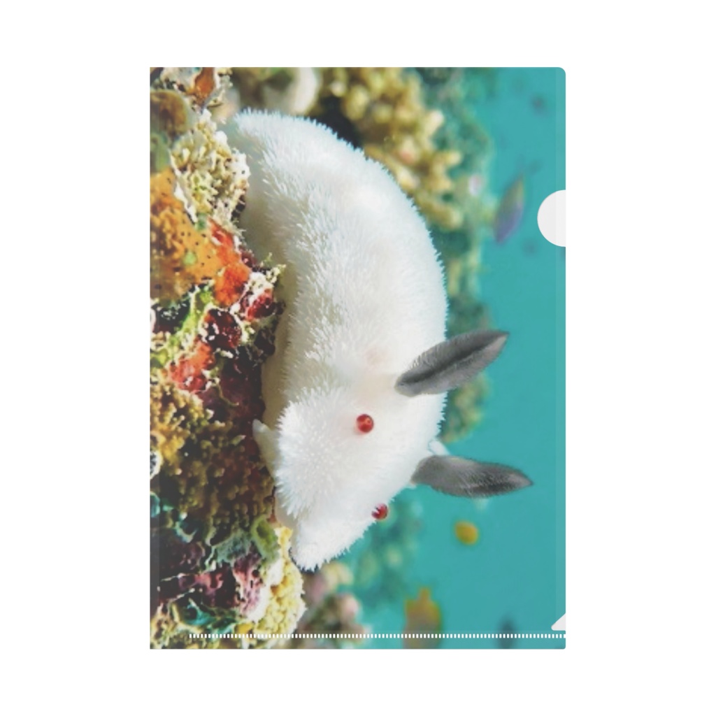 クリアファイル 雪うさぎウミウシ