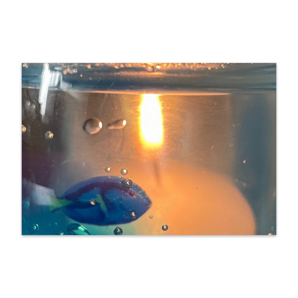 お魚ポスカNO3