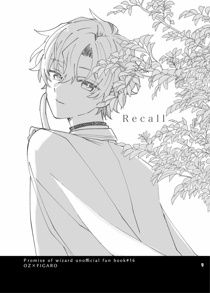 Recall