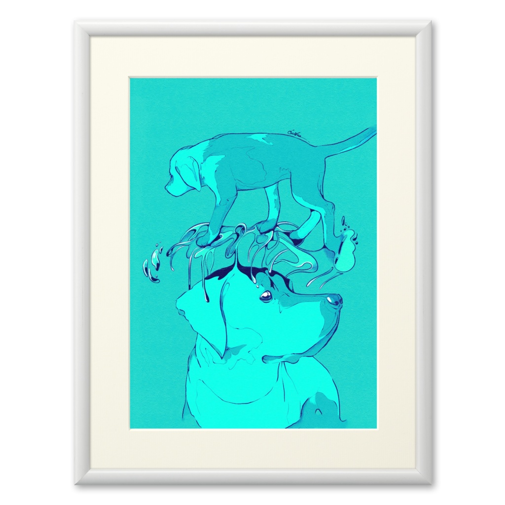 summer dog