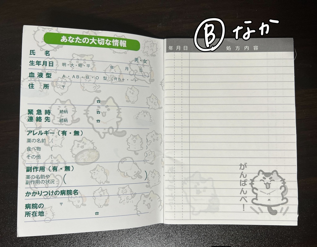 猫ちゃんのおくすり手帳