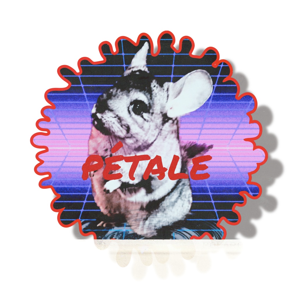 Tシャツ(ちんちら)