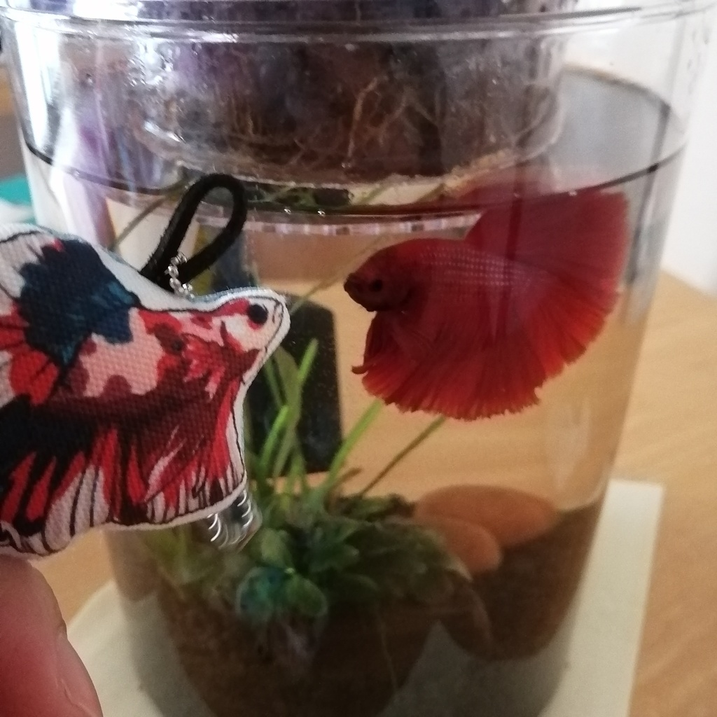 ベタとおでかけ バッグチャーム