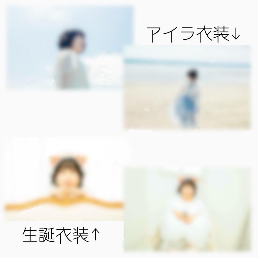 ブロマイド5枚セット　BDエディション2025