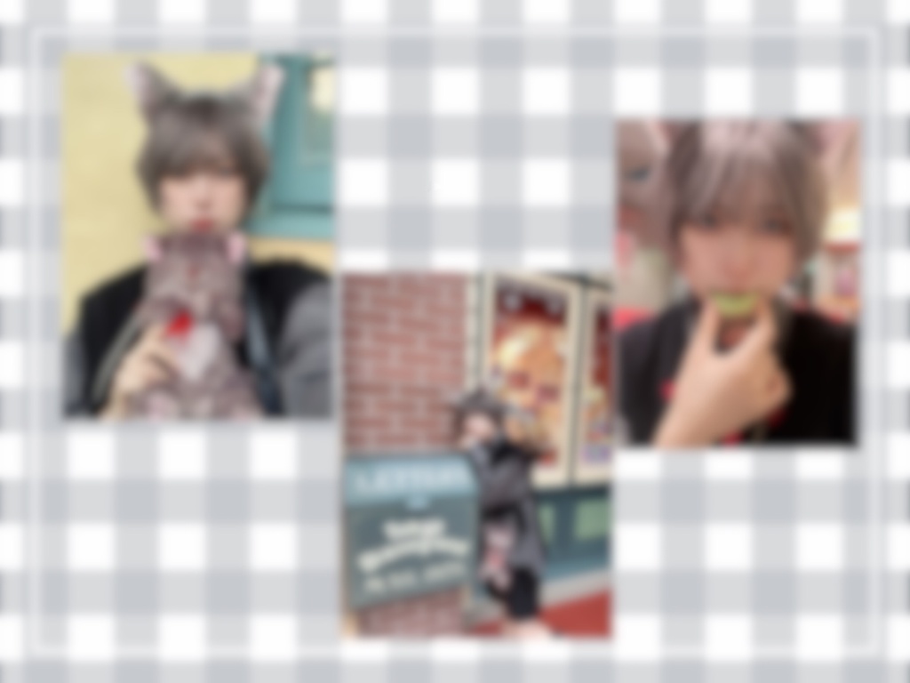 ランチェキ3枚セット【Dハロ男装】