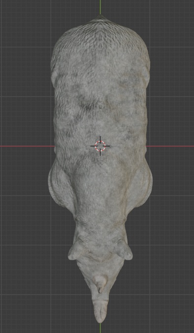 3Dモデル サイ 動物 Rhino Animal