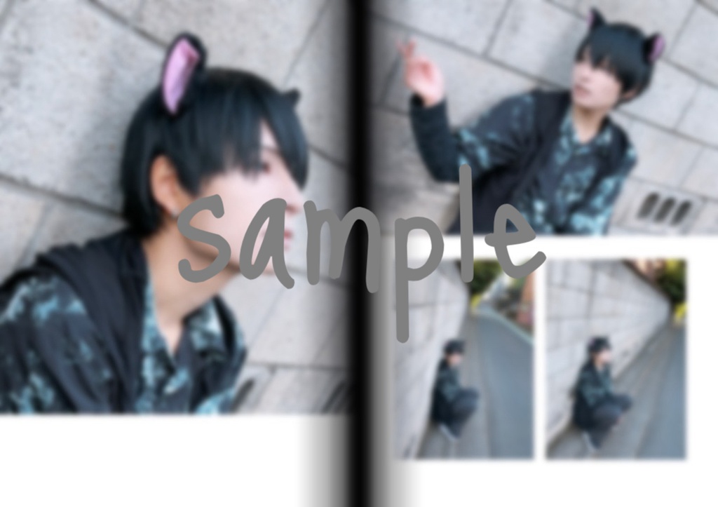 【🐈⬛散歩】写真集