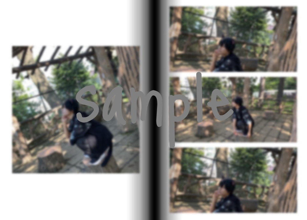 【🐈⬛散歩】写真集