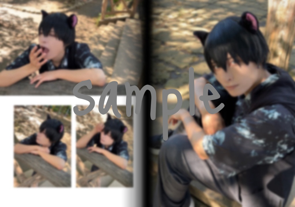 【🐈⬛散歩】写真集