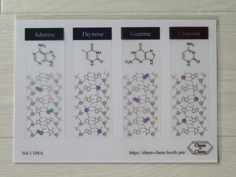 クリアしおり【 DNA塩基】