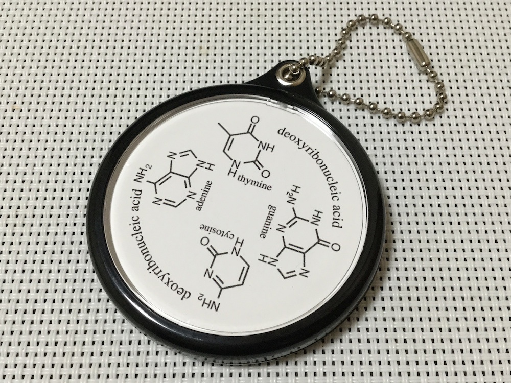 DNAスライドミラー