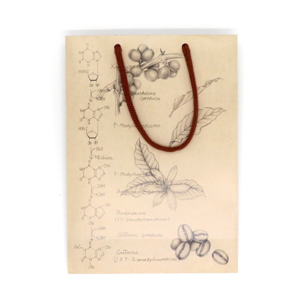 カフェイン柄 ギフトバッグ(紙袋) 2枚セット