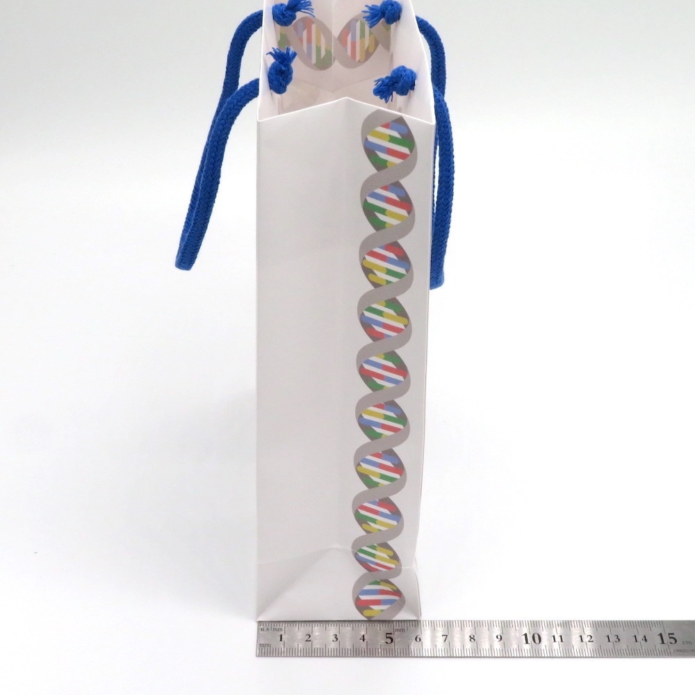 DNA柄 ギフトバッグ(紙袋) 2枚セット