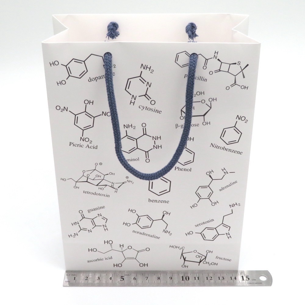 化学構造式柄 ギフトバッグ(紙袋) 2枚セット