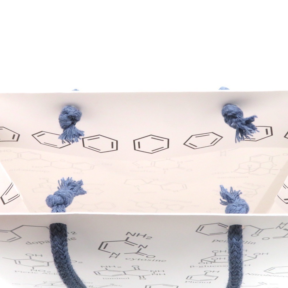 化学構造式柄 ギフトバッグ(紙袋) 2枚セット