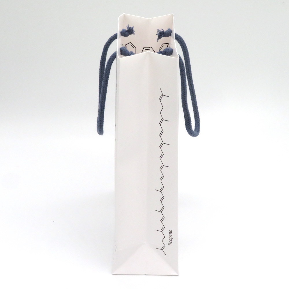 化学構造式柄 ギフトバッグ(紙袋) 2枚セット