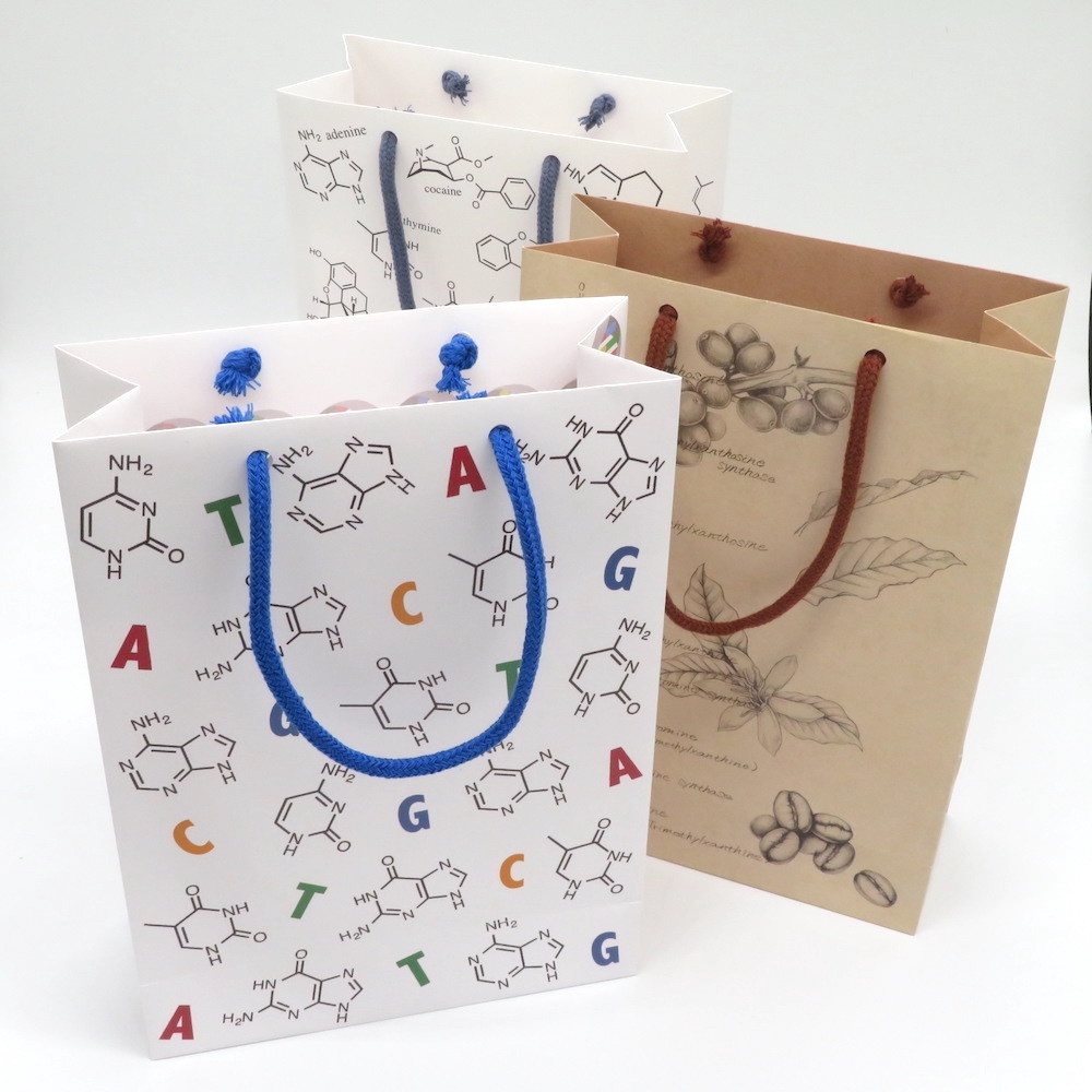 化学構造式柄 ギフトバッグ(紙袋) 2枚セット