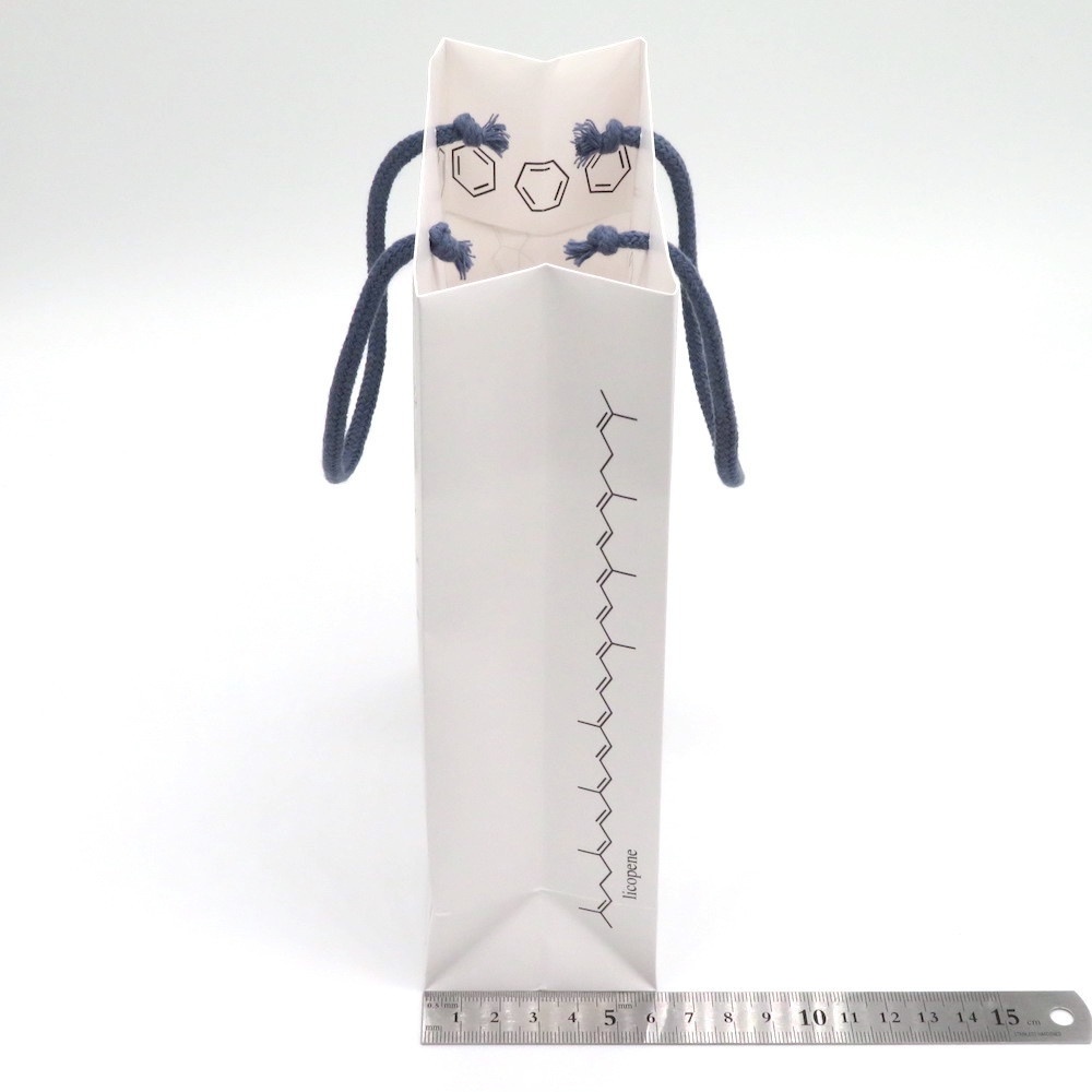 化学構造式柄 ギフトバッグ(紙袋) 2枚セット