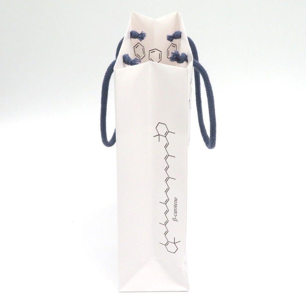 化学構造式柄 ギフトバッグ(紙袋) 2枚セット