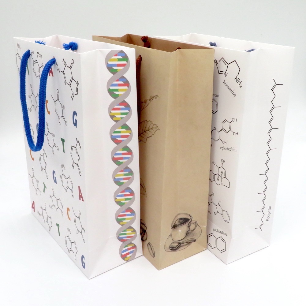 化学構造式柄 ギフトバッグ(紙袋) 2枚セット