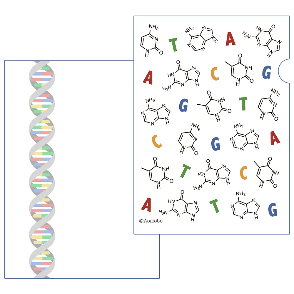 A4サイズ 理系柄クリアファイル -DNA-