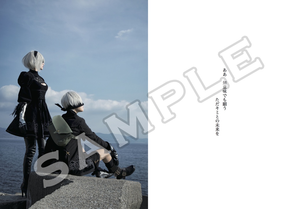 《Re:Demption 》ニーア写真集セット【予約特典付き】特典無くなり次第終了