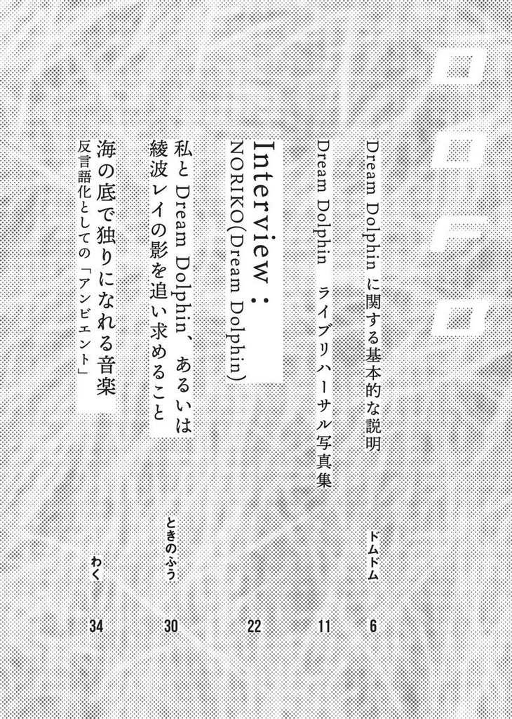 DDFB (Dream Dolphin Fan Book)