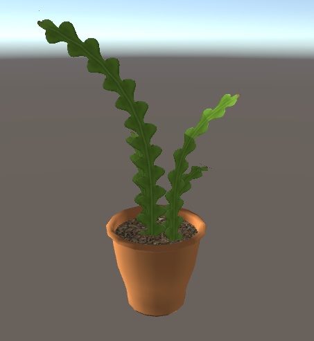 エピフィラム・アングリガー/Epiphyllum anguliger