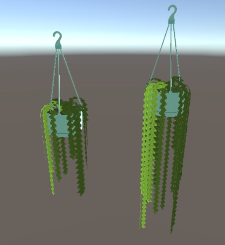 エピフィラム・アングリガー/Epiphyllum anguliger