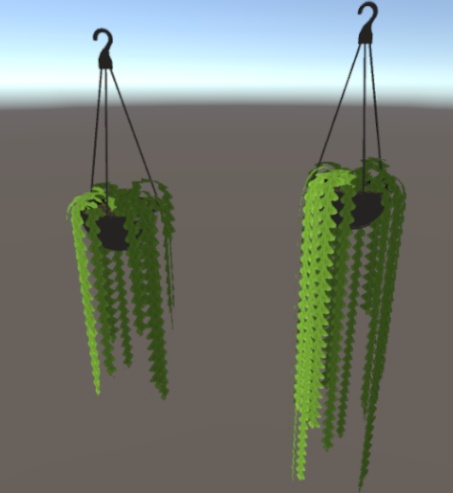 エピフィラム・アングリガー/Epiphyllum anguliger