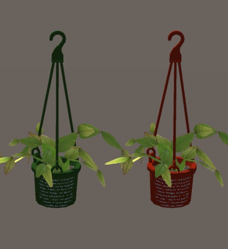 リプサリス・エリプティカ/Rhipsalis elliptica