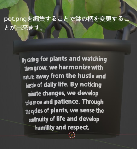 リプサリス・エリプティカ/Rhipsalis elliptica