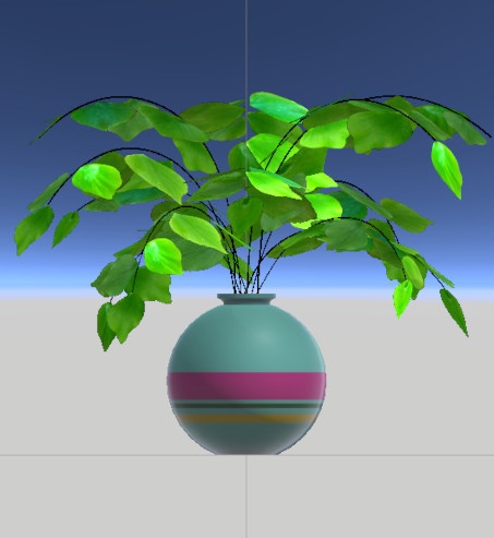 アジアンタム・マクロフィラム/Adiantum macrophyllum