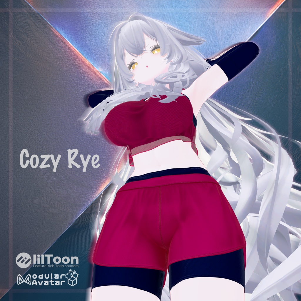 Pro Traning Set【PTS】『11アバター対応』