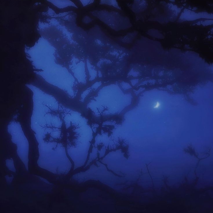 【無料BGM素材】Occasion