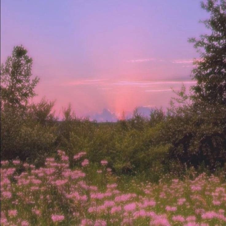 【無料BGM素材】Feelings