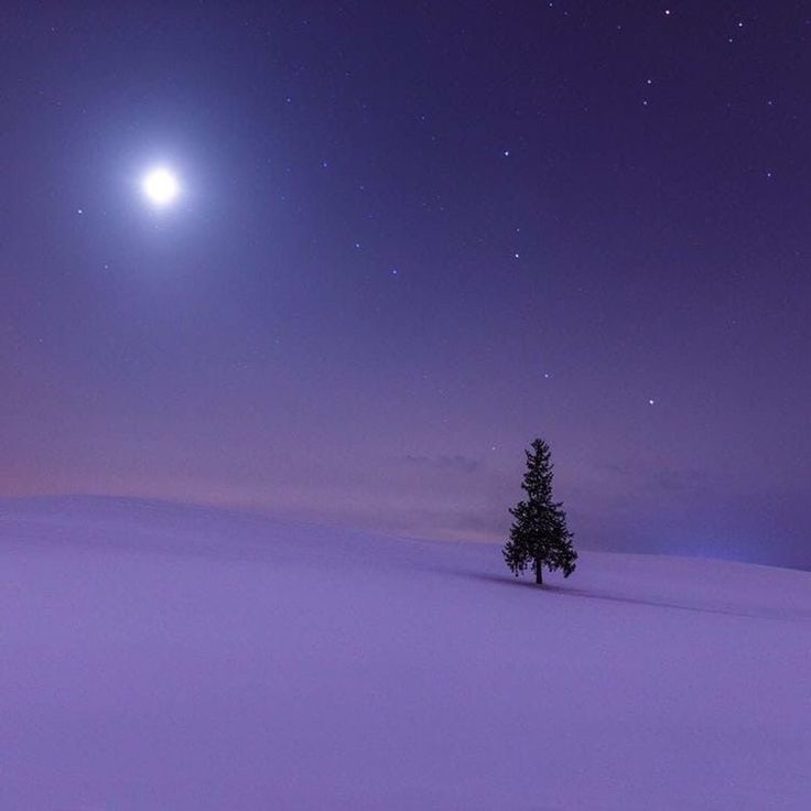 【無料BGM素材】Winter