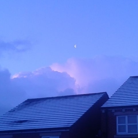 【無料BGM素材】Lush