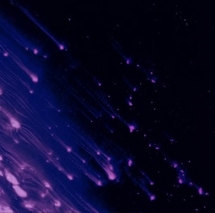 【無料BGM素材】Limits