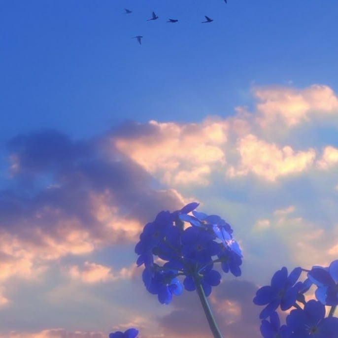 【無料BGM素材】DS