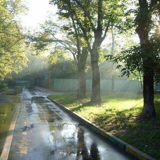 【無料BGM素材】Level