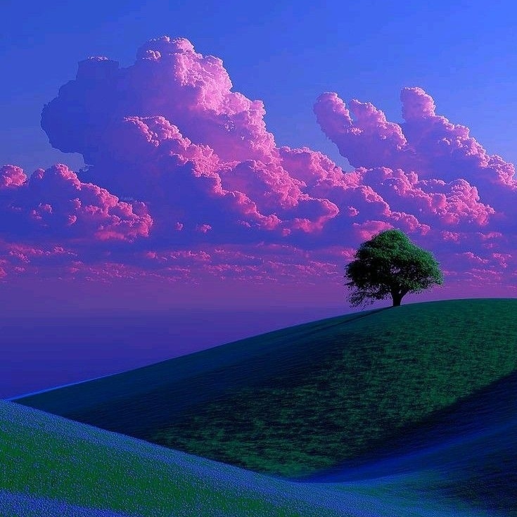 【無料BGM素材】Feline